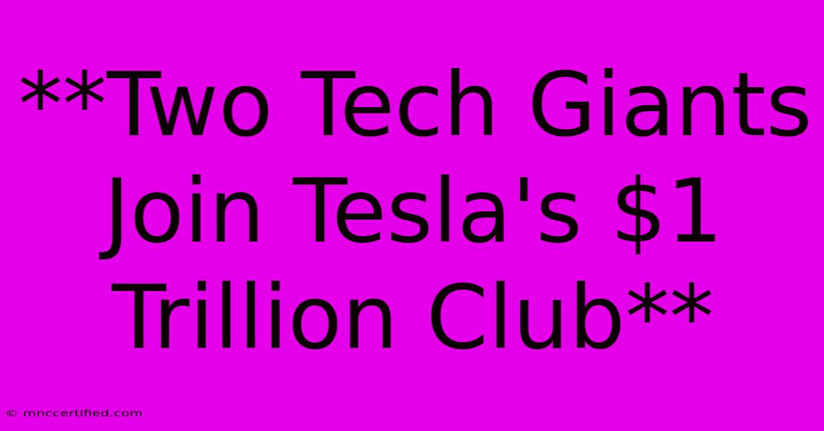 **Two Tech Giants Join Tesla's $1 Trillion Club**