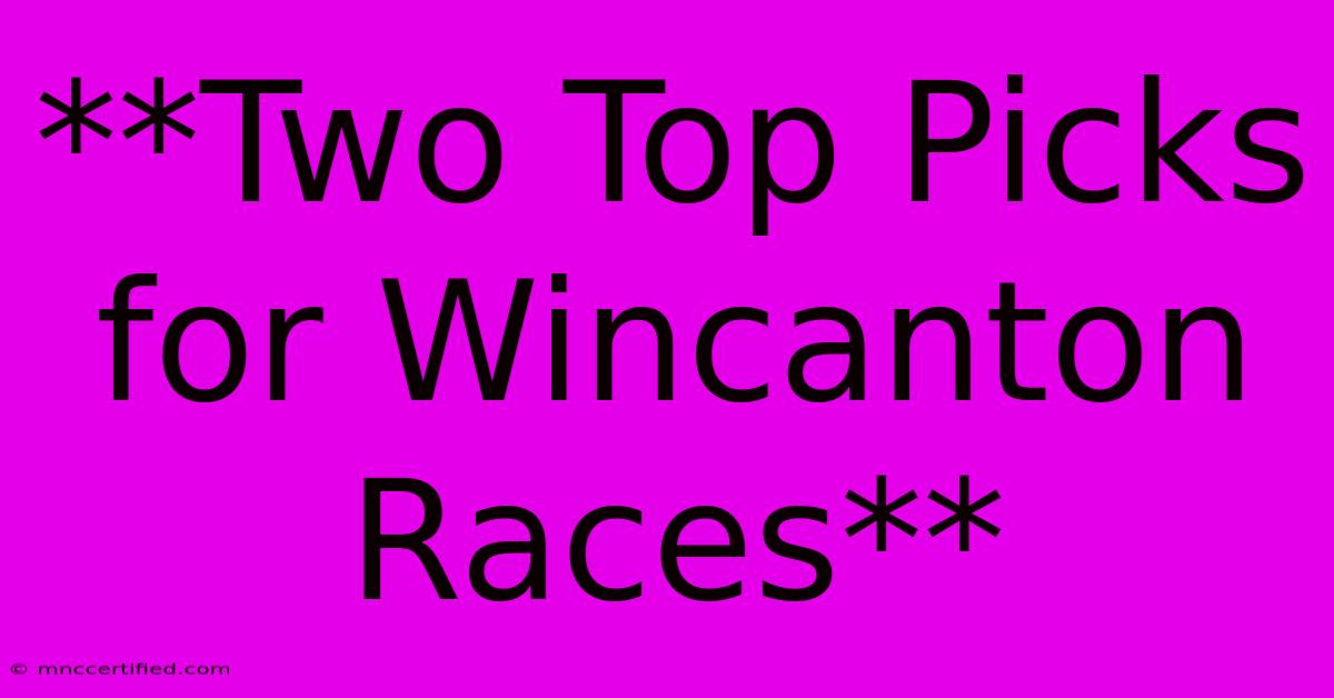 **Two Top Picks For Wincanton Races**