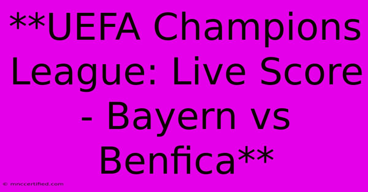 **UEFA Champions League: Live Score - Bayern Vs Benfica** 