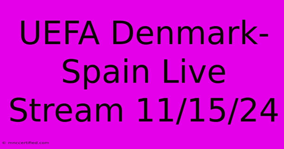 UEFA Denmark-Spain Live Stream 11/15/24