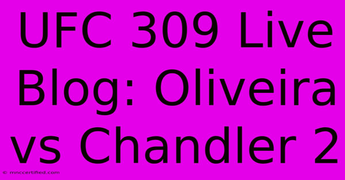 UFC 309 Live Blog: Oliveira Vs Chandler 2