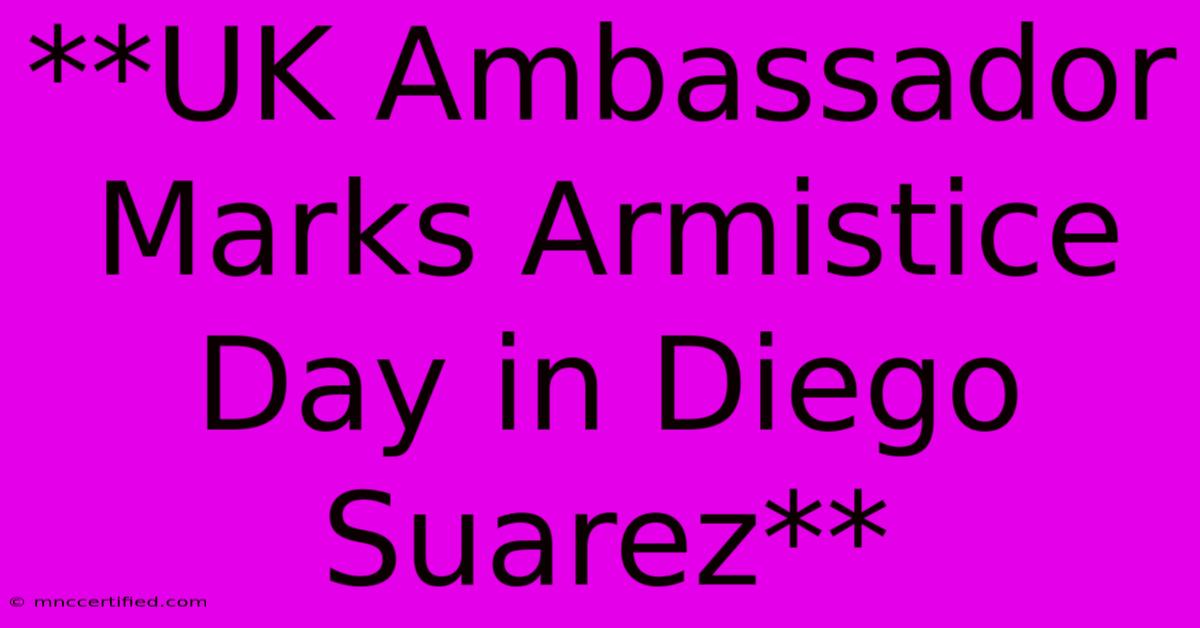 **UK Ambassador Marks Armistice Day In Diego Suarez**