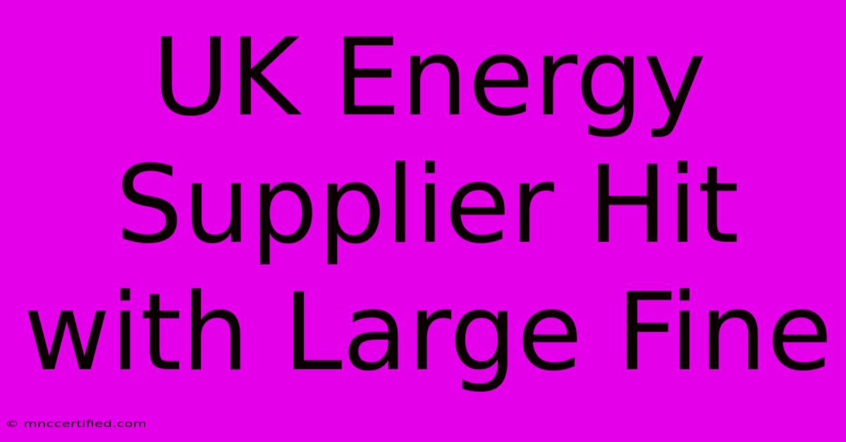 UK Energy Supplier Hit With Large Fine