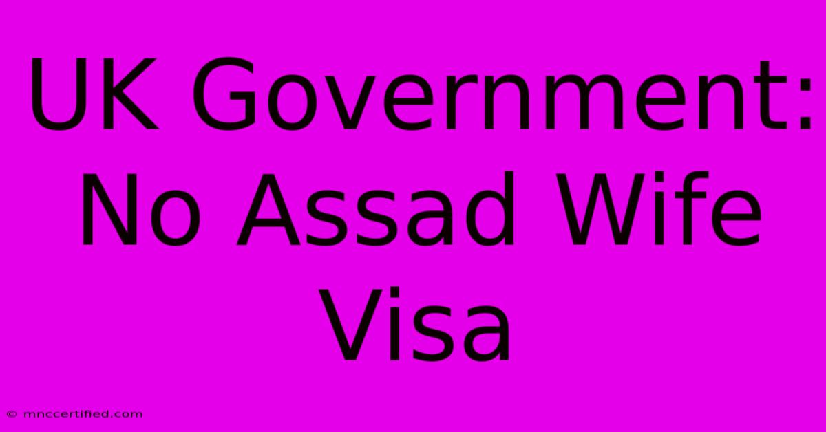 UK Government: No Assad Wife Visa