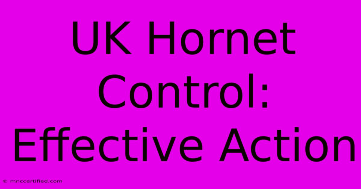 UK Hornet Control: Effective Action