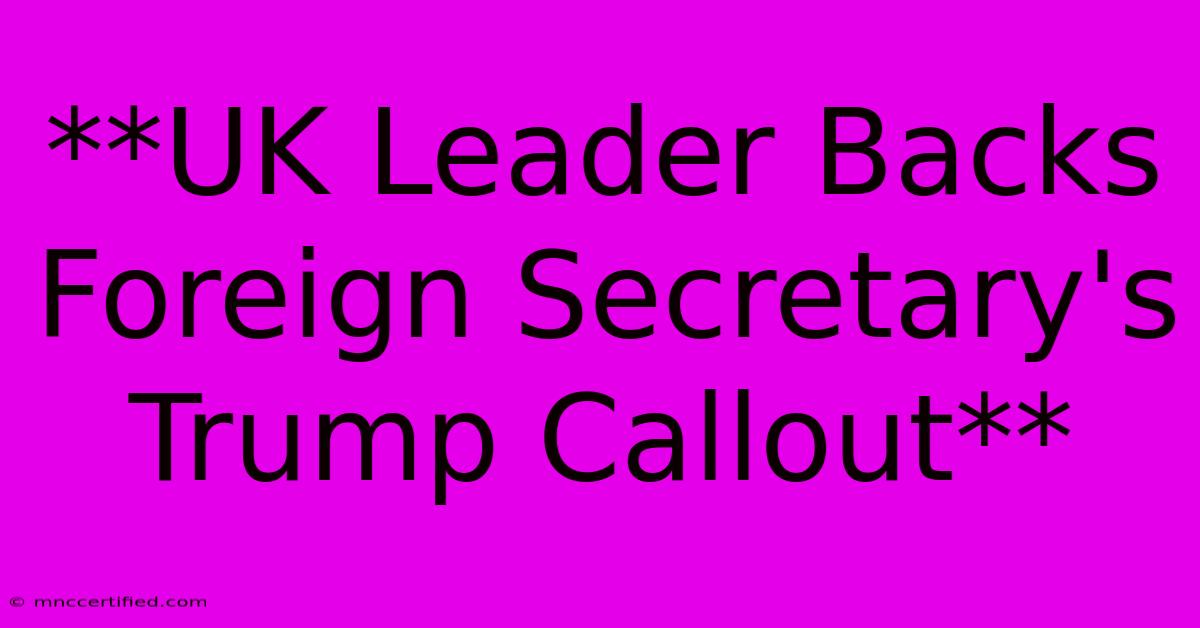 **UK Leader Backs Foreign Secretary's Trump Callout** 