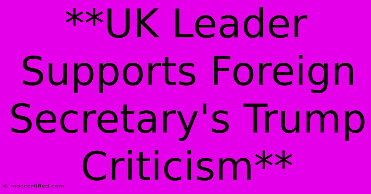 **UK Leader Supports Foreign Secretary's Trump Criticism**