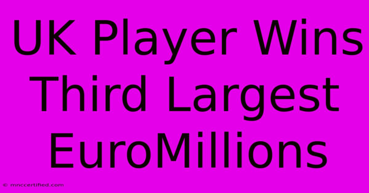 UK Player Wins Third Largest EuroMillions