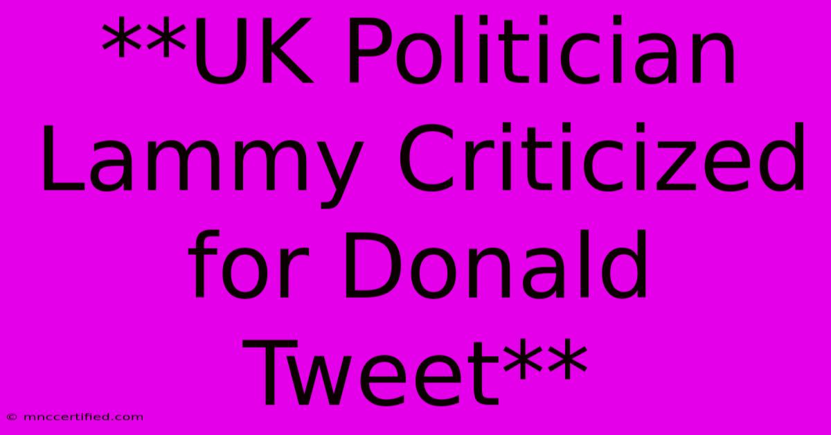 **UK Politician Lammy Criticized For Donald Tweet**