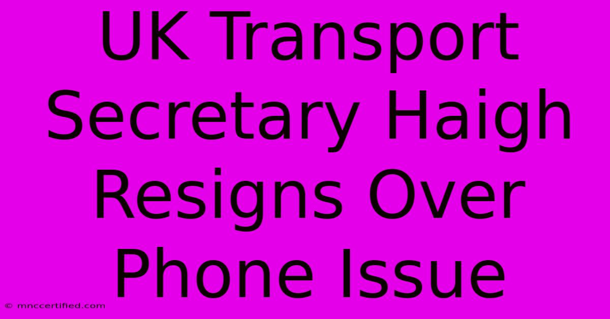 UK Transport Secretary Haigh Resigns Over Phone Issue