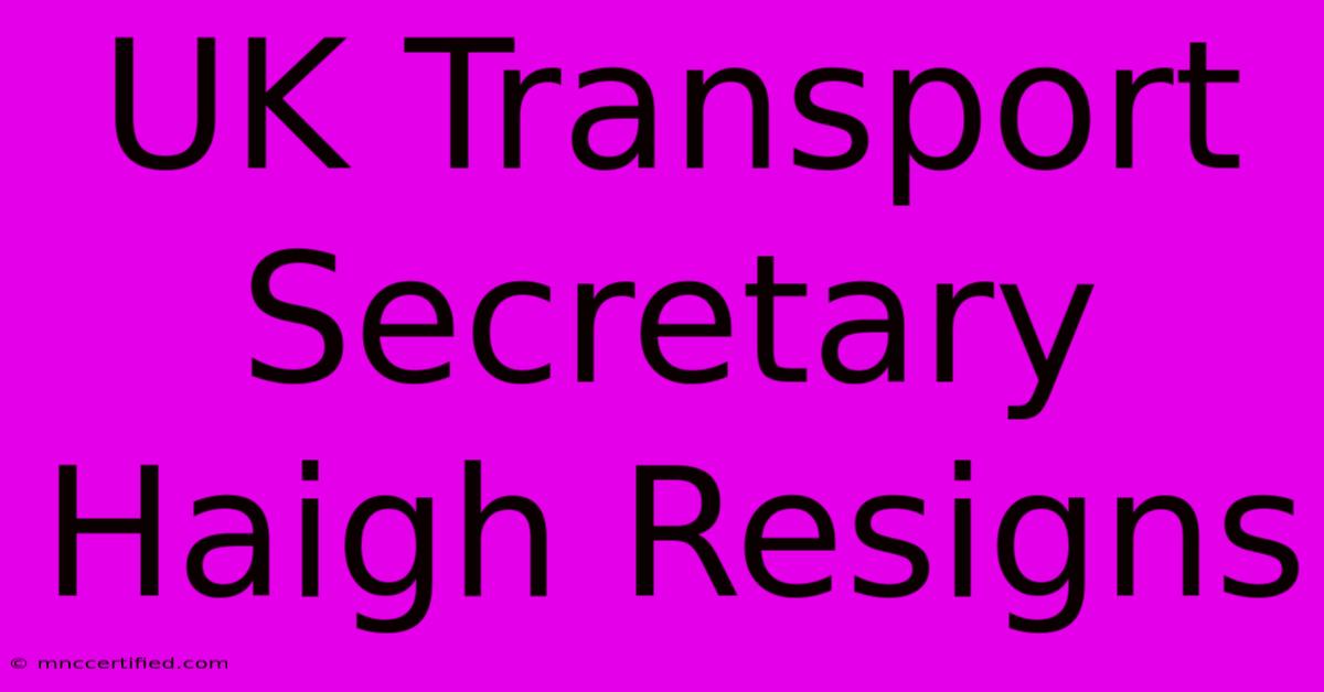 UK Transport Secretary Haigh Resigns