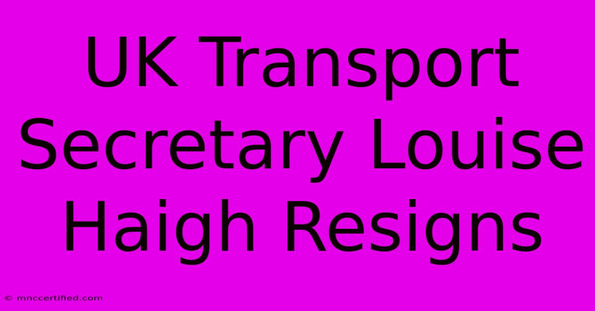 UK Transport Secretary Louise Haigh Resigns