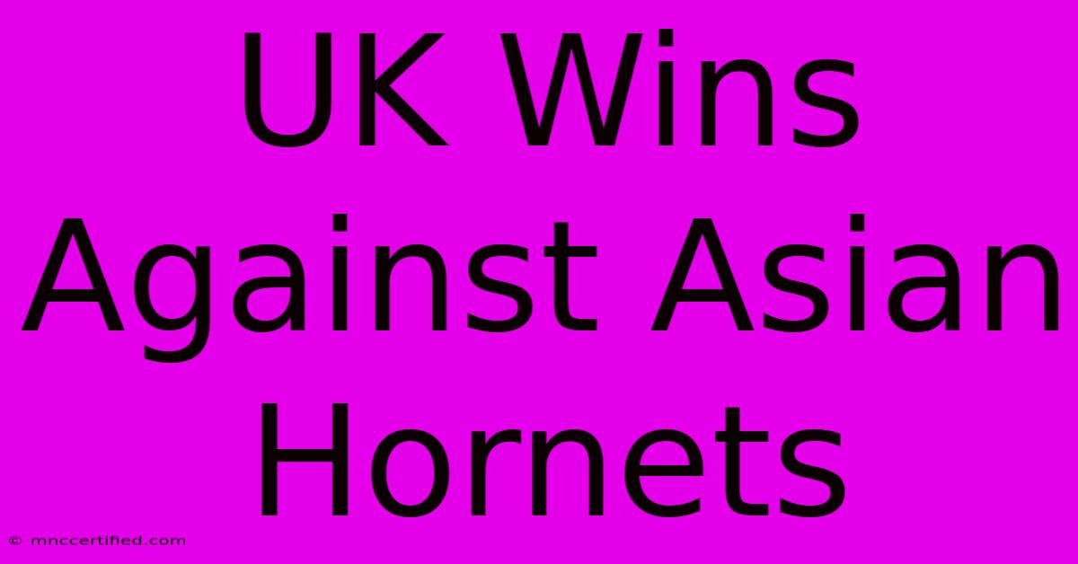 UK Wins Against Asian Hornets