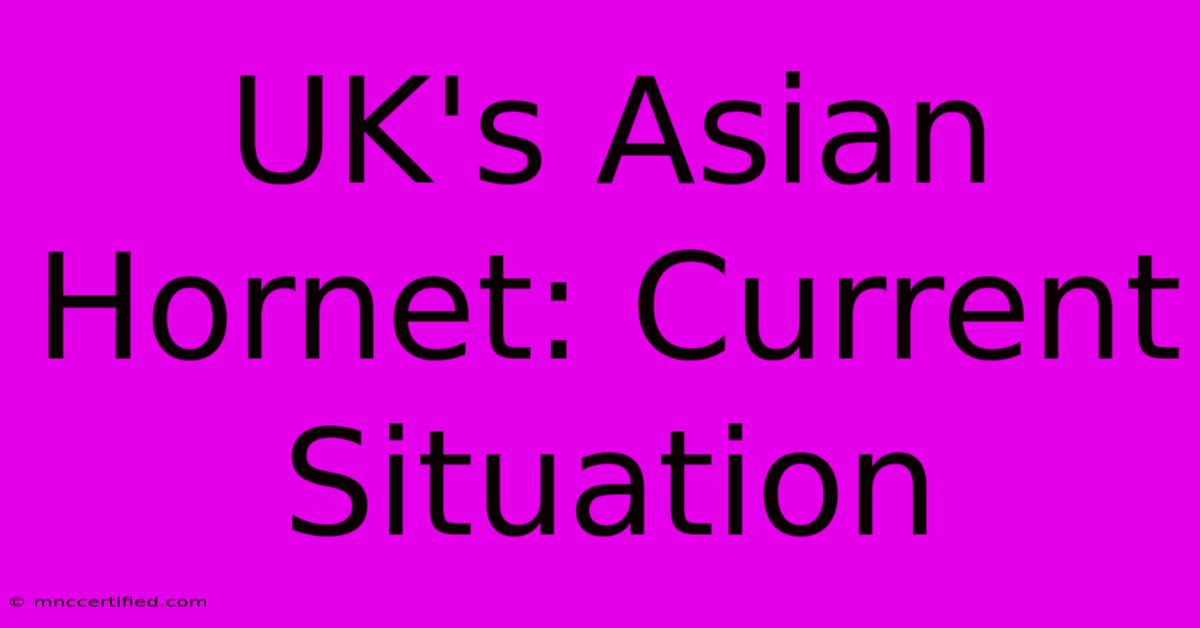 UK's Asian Hornet: Current Situation