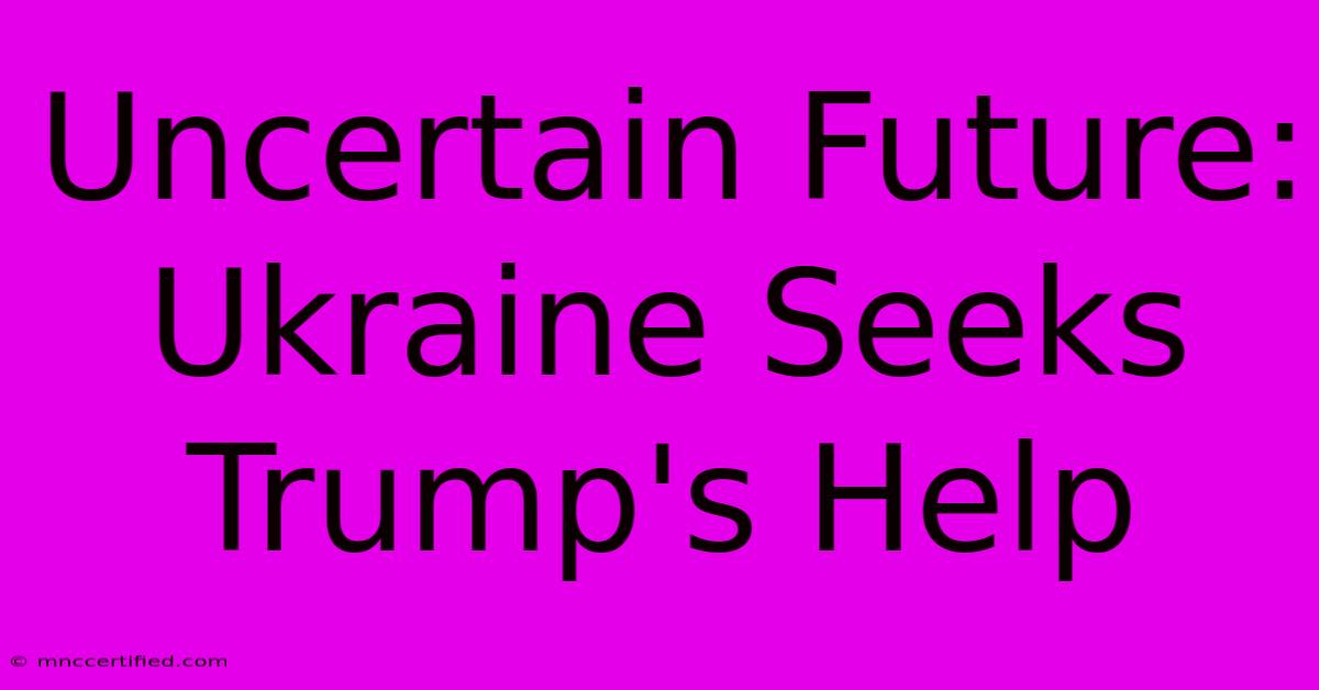 Uncertain Future: Ukraine Seeks Trump's Help 