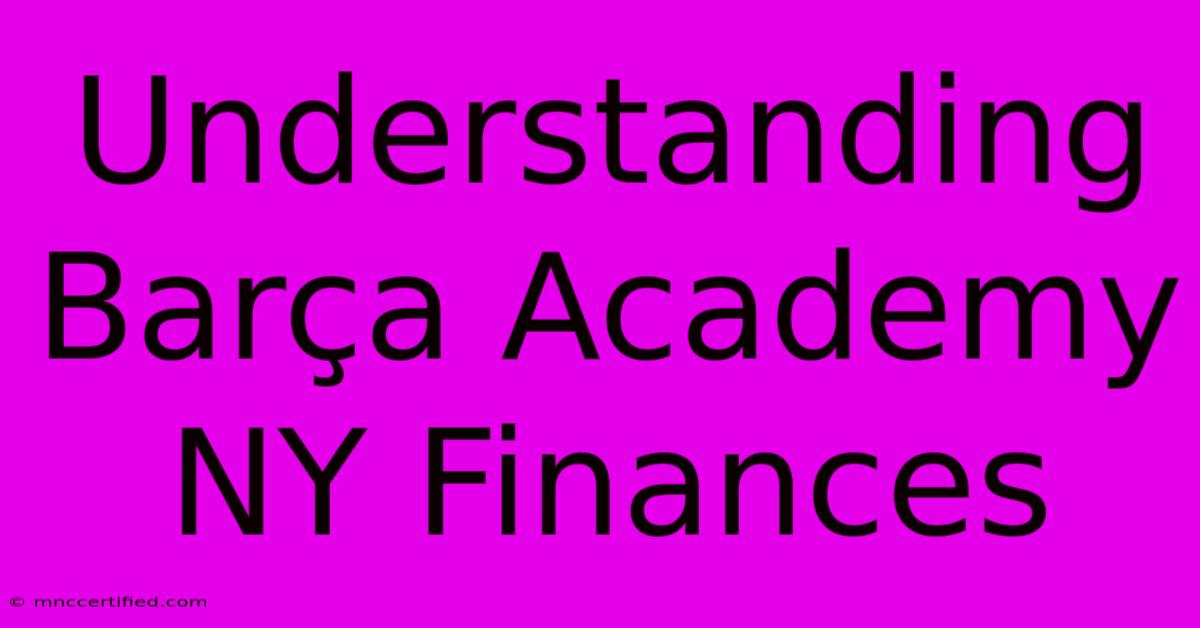 Understanding Barça Academy NY Finances