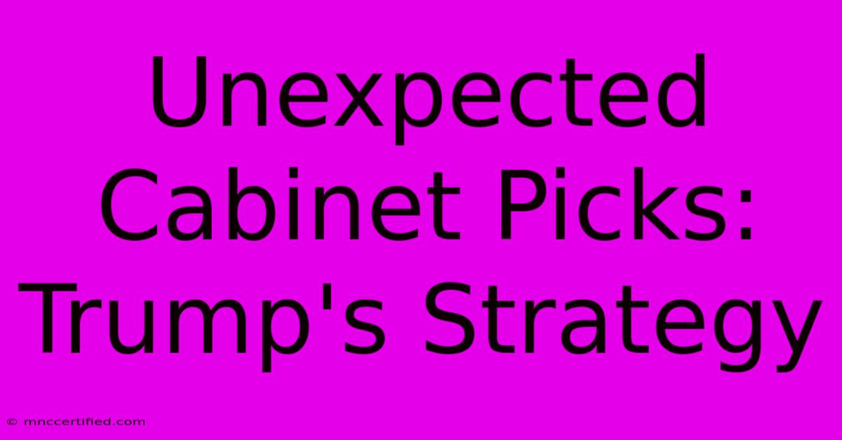 Unexpected Cabinet Picks: Trump's Strategy