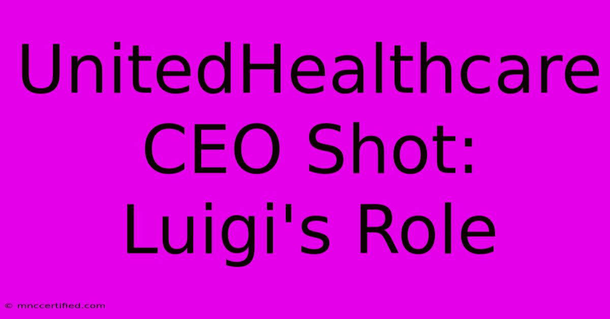 UnitedHealthcare CEO Shot:  Luigi's Role