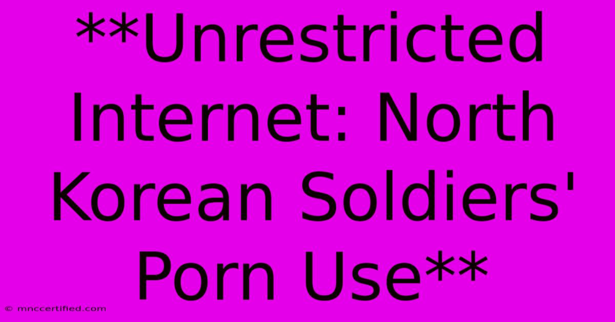 **Unrestricted Internet: North Korean Soldiers' Porn Use**