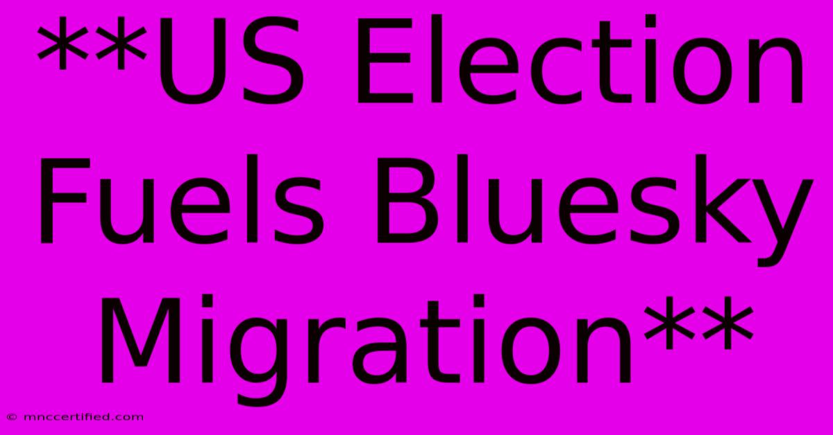 **US Election Fuels Bluesky Migration** 