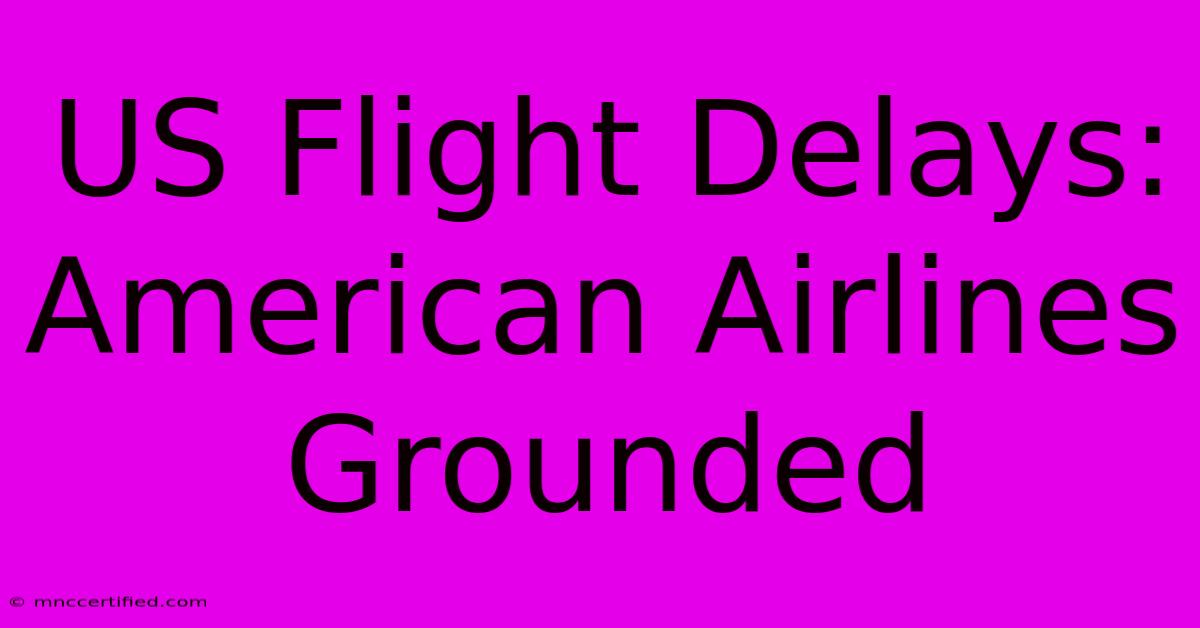 US Flight Delays: American Airlines Grounded