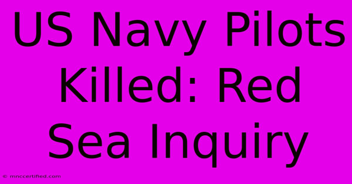 US Navy Pilots Killed: Red Sea Inquiry