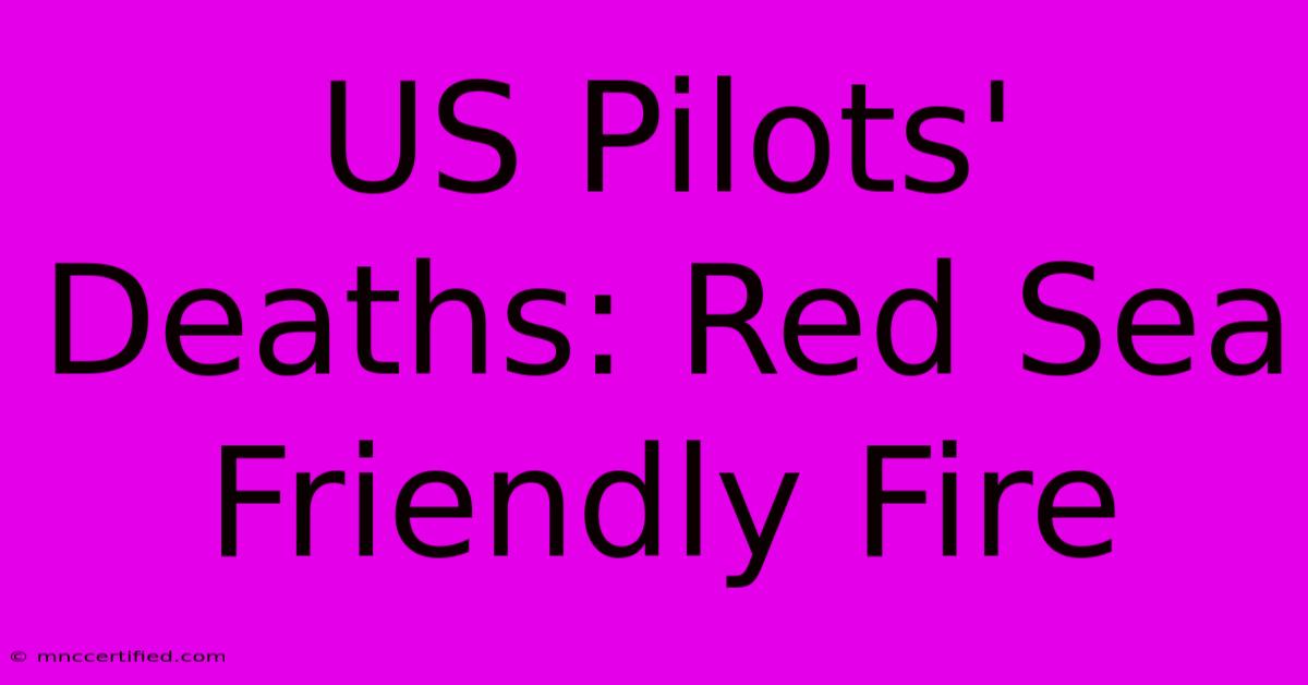 US Pilots' Deaths: Red Sea Friendly Fire