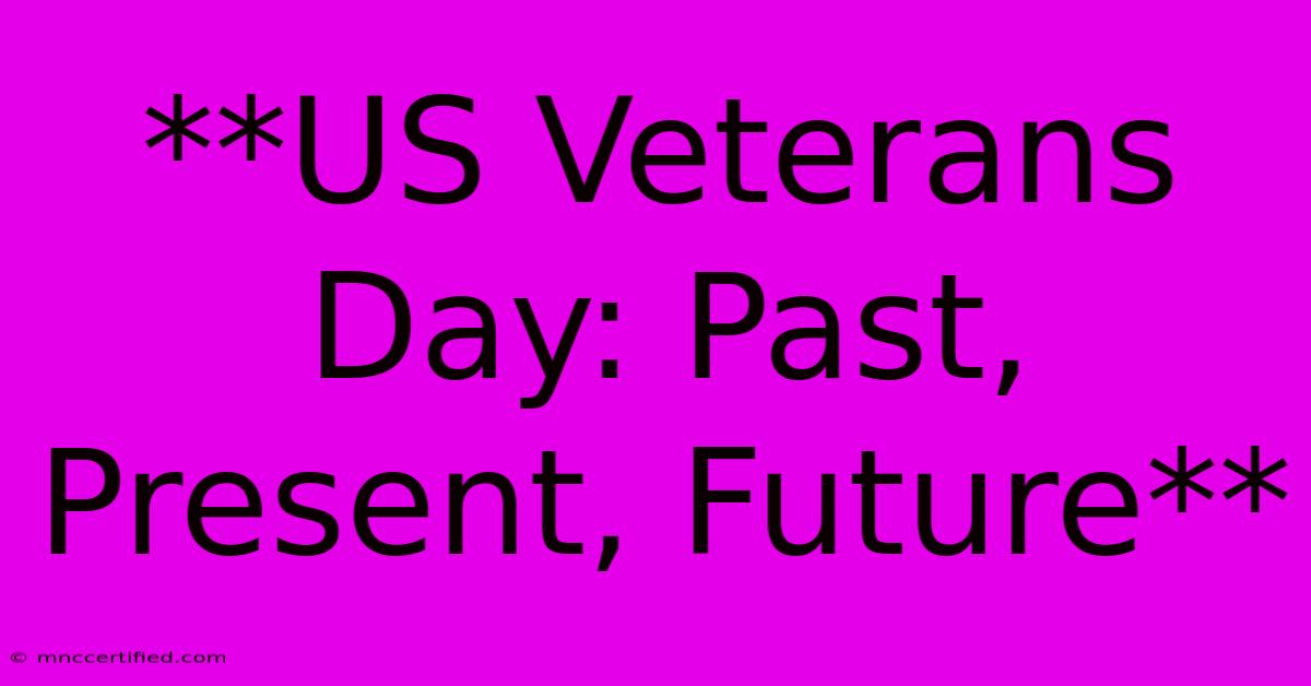 **US Veterans Day: Past, Present, Future**