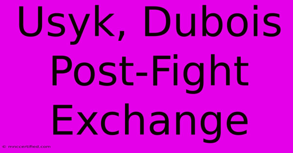 Usyk, Dubois Post-Fight Exchange