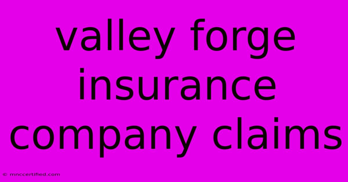 Valley Forge Insurance Company Claims