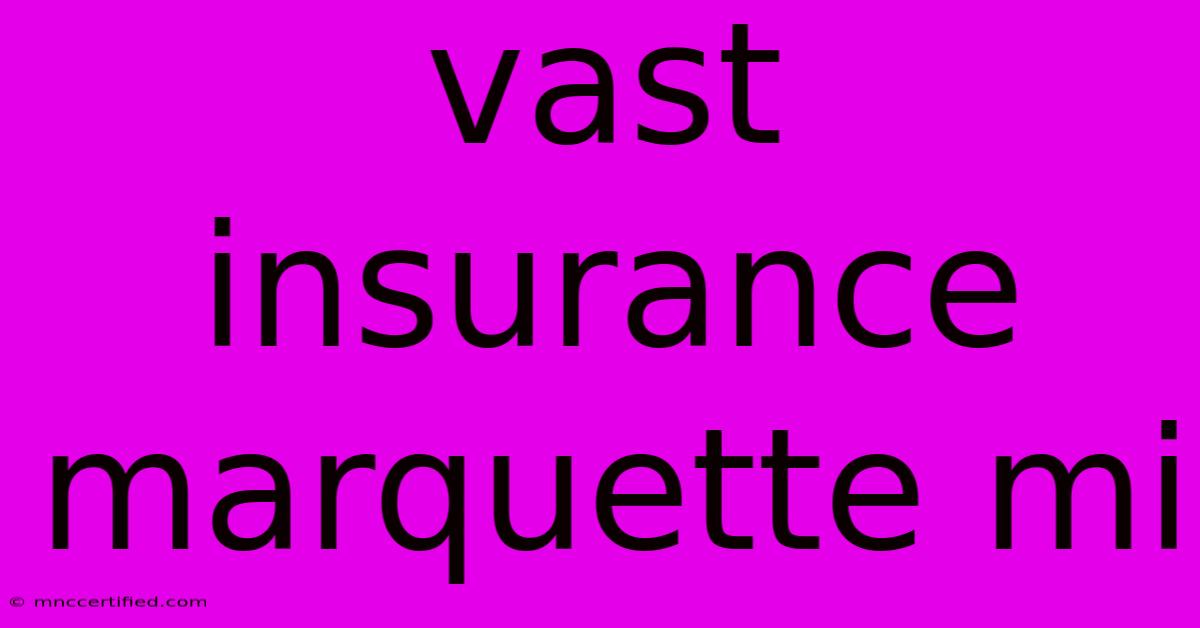 Vast Insurance Marquette Mi