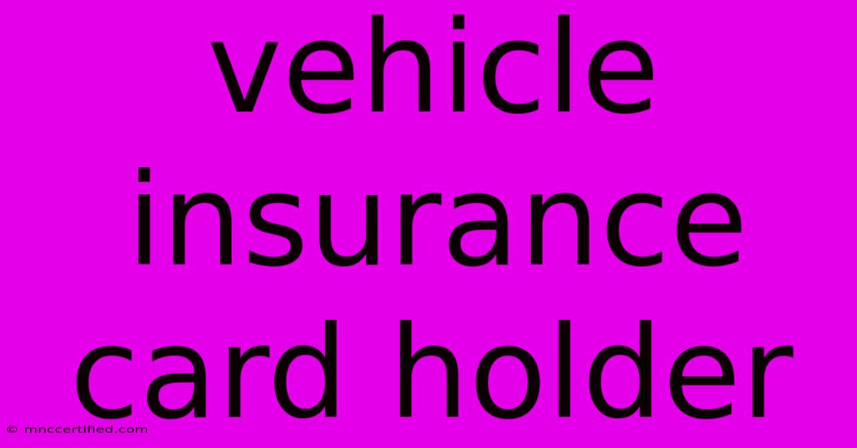 Vehicle Insurance Card Holder