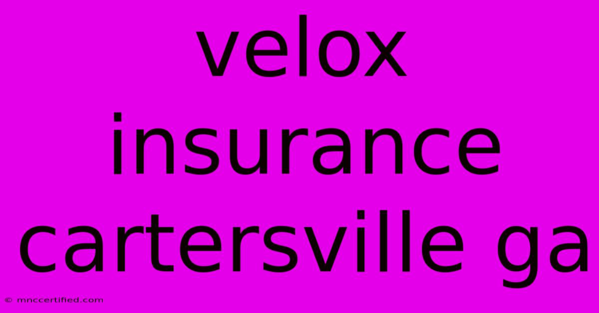 Velox Insurance Cartersville Ga