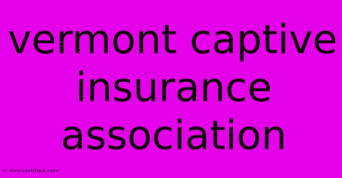 Vermont Captive Insurance Association