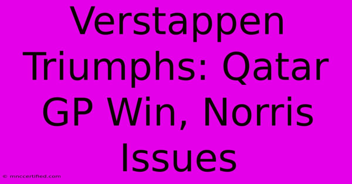 Verstappen Triumphs: Qatar GP Win, Norris Issues