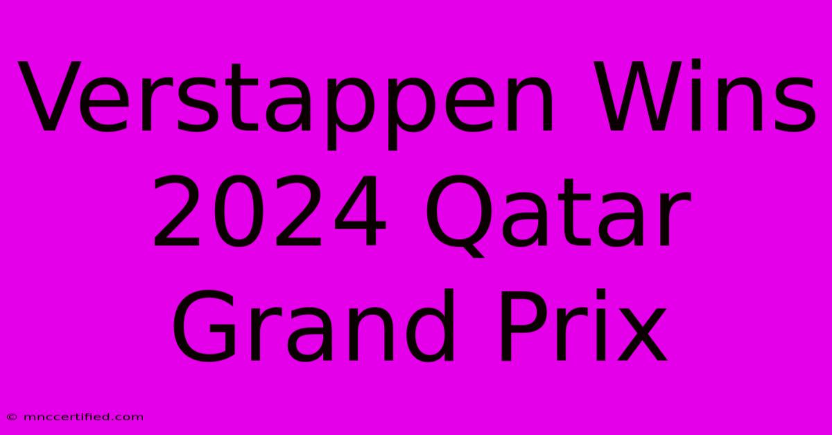 Verstappen Wins 2024 Qatar Grand Prix