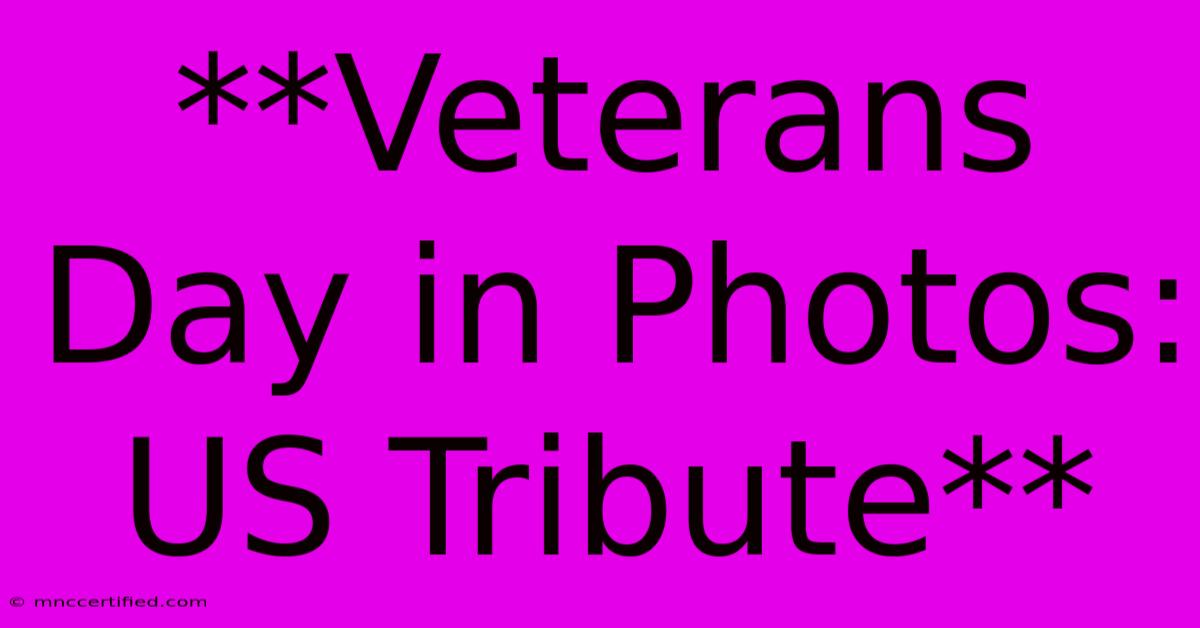 **Veterans Day In Photos: US Tribute**