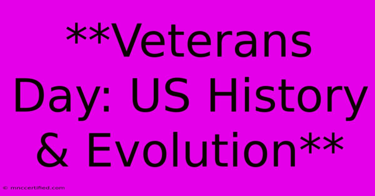 **Veterans Day: US History & Evolution**