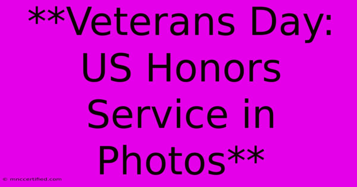 **Veterans Day: US Honors Service In Photos**