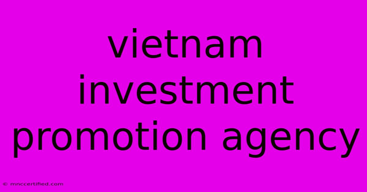 Vietnam Investment Promotion Agency