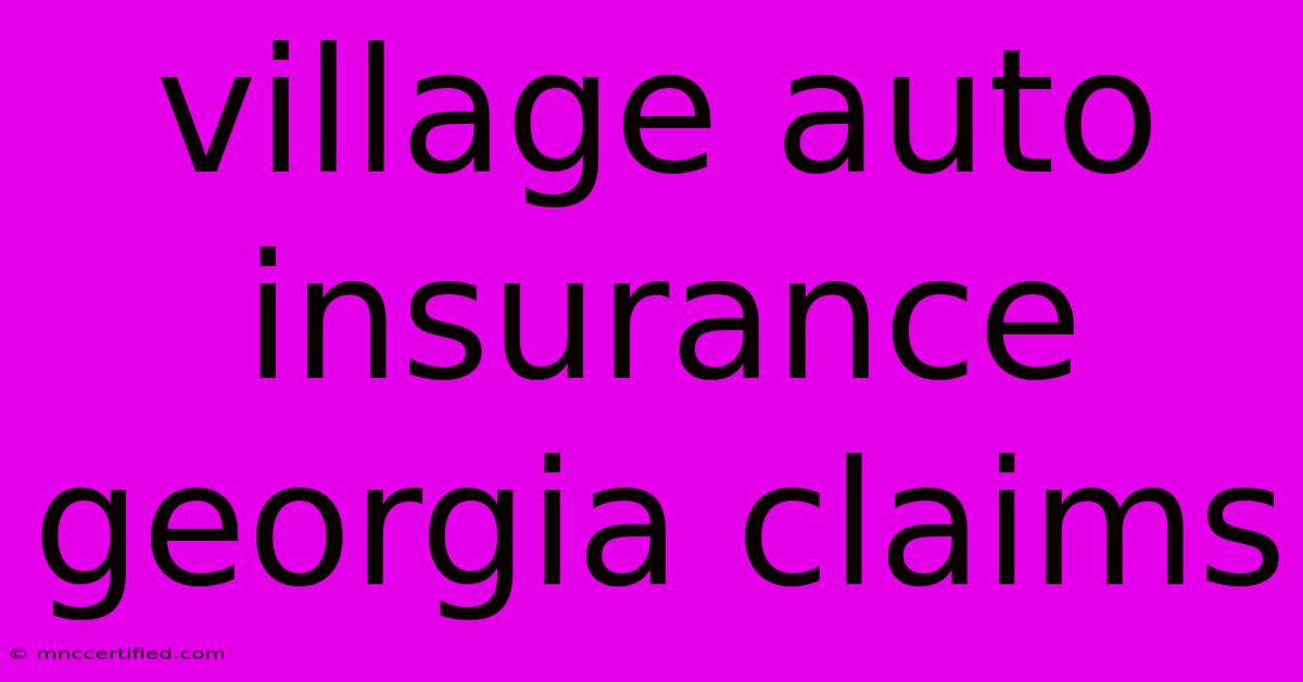 Village Auto Insurance Georgia Claims