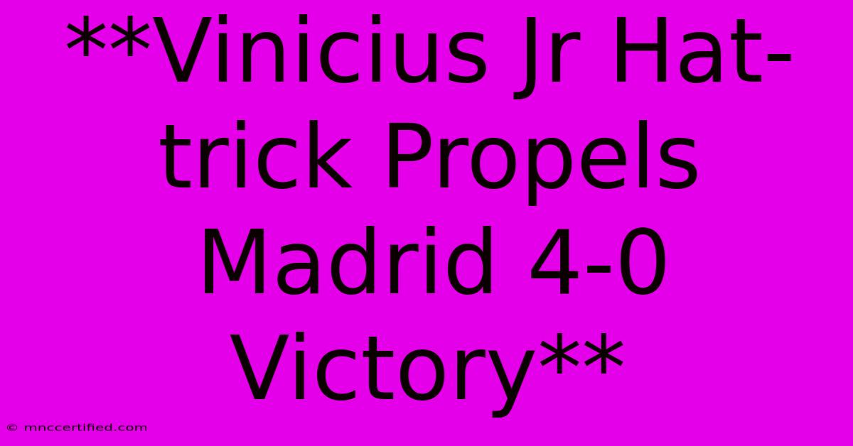 **Vinicius Jr Hat-trick Propels Madrid 4-0 Victory** 