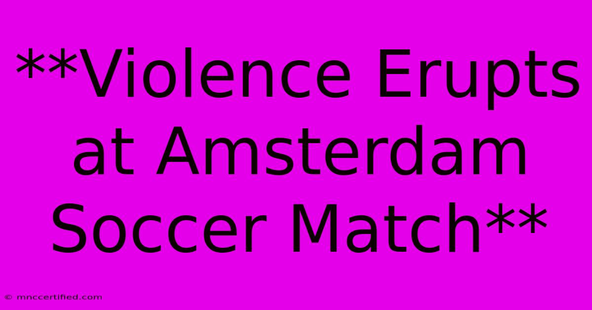 **Violence Erupts At Amsterdam Soccer Match**