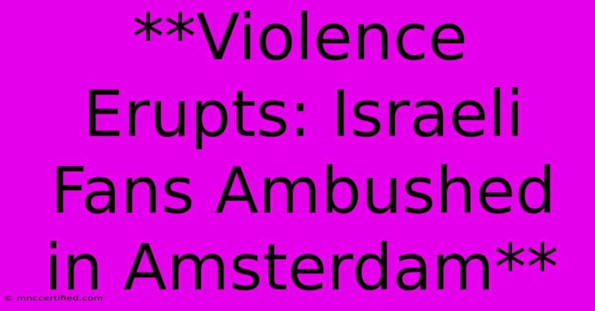 **Violence Erupts: Israeli Fans Ambushed In Amsterdam**