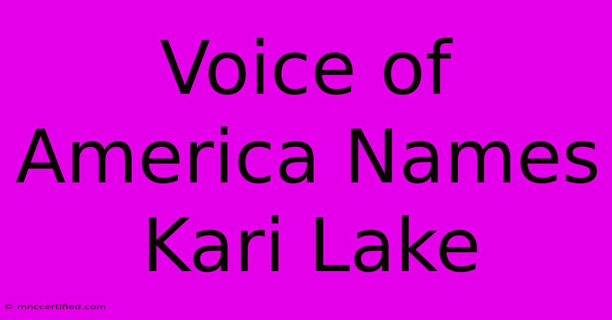 Voice Of America Names Kari Lake