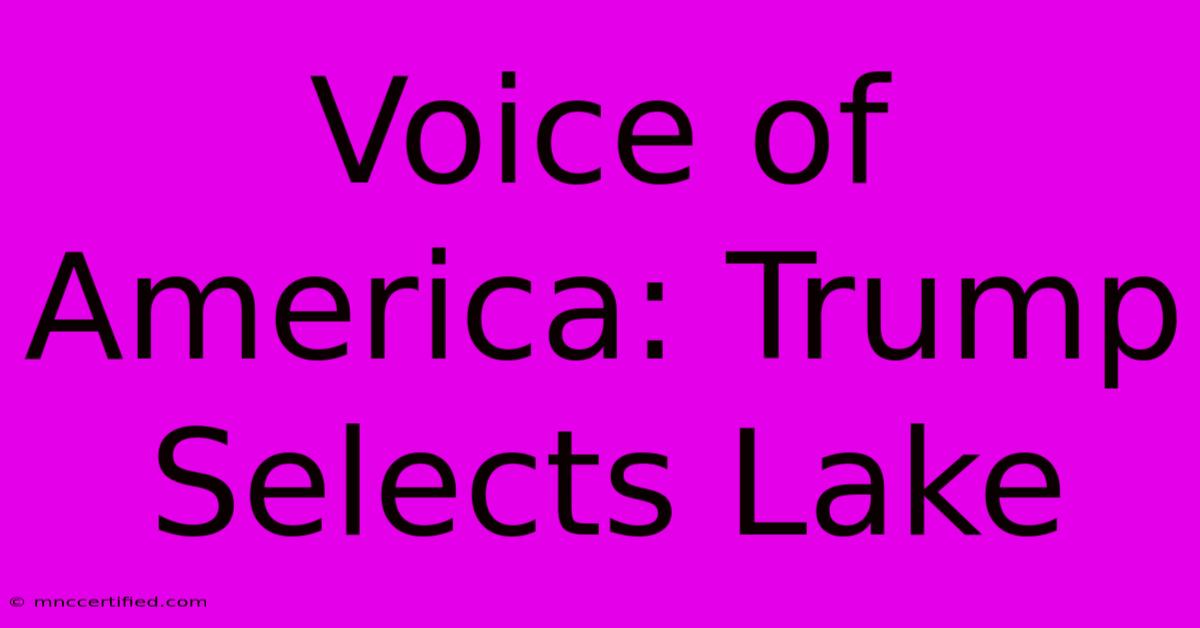 Voice Of America: Trump Selects Lake