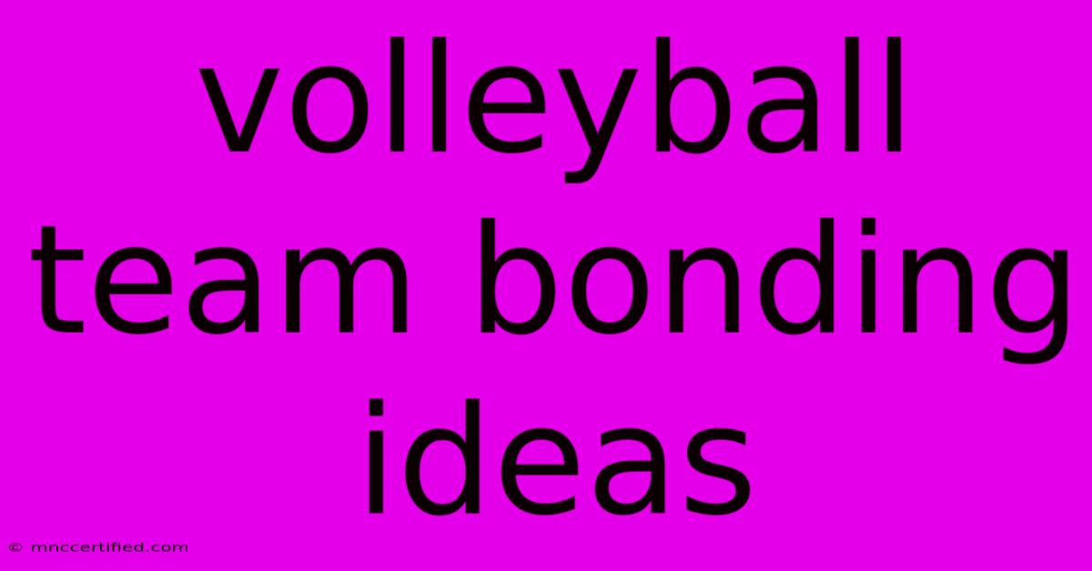 Volleyball Team Bonding Ideas