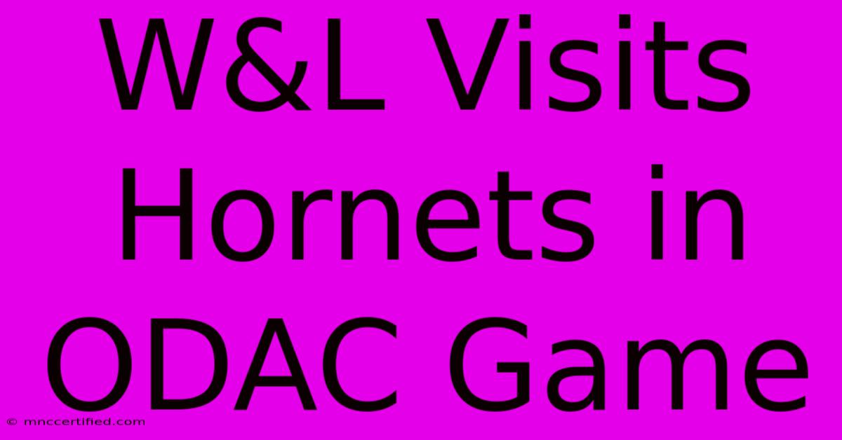 W&L Visits Hornets In ODAC Game