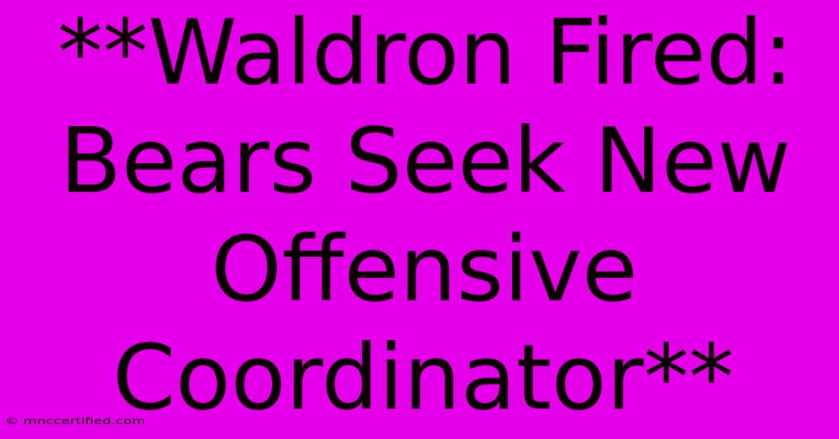 **Waldron Fired: Bears Seek New Offensive Coordinator**