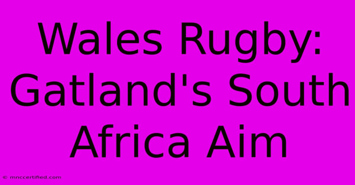 Wales Rugby: Gatland's South Africa Aim